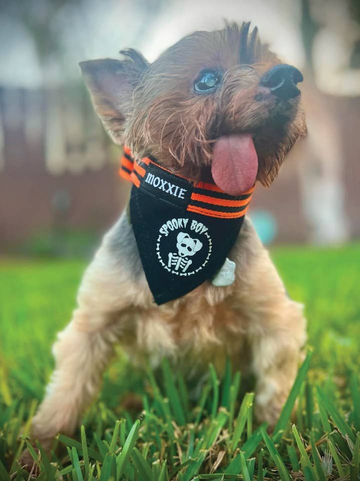 ¡Chico Espeluznante! Bandana Ajustable para Mascotas para venta al por mayor de Moxxie