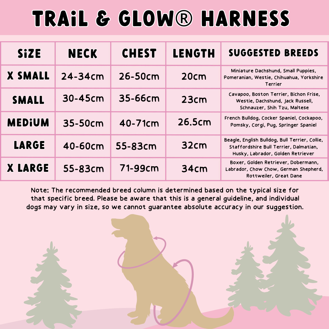 Bailey and Coco - Vente Harnais – chien - Ensemble de harnais pour chien Trail & Glow® - Ours en peluche6