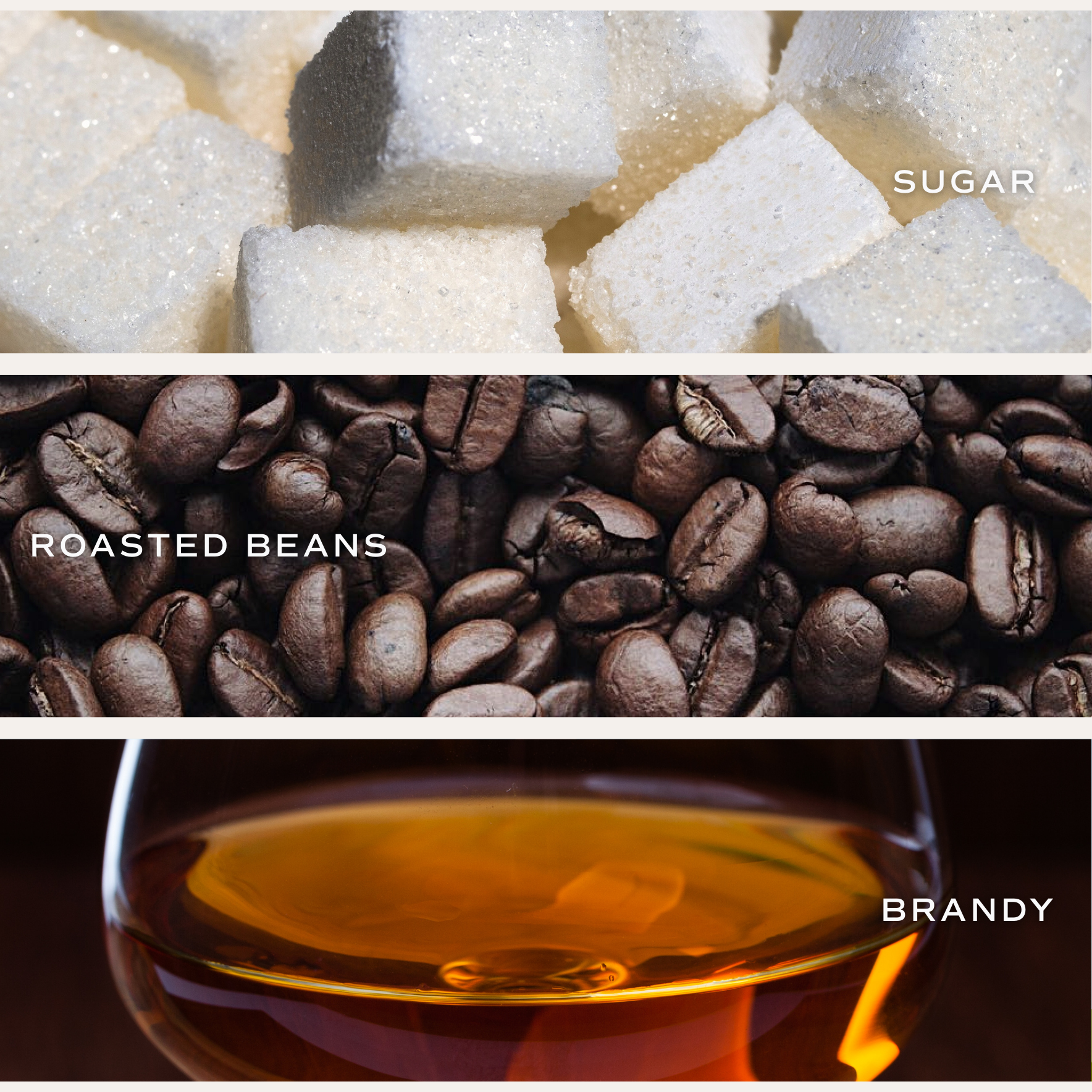 Sweet Water Decor - Wholesale Jar/Filled Candle - Fresh Coffee 11 oz Soy Candle - Home Decor & Gifts2