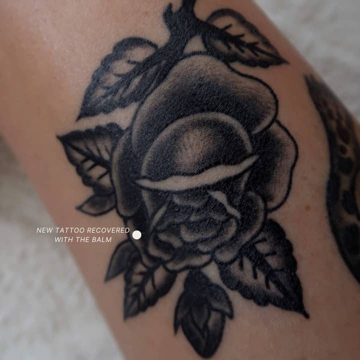 REBEL JUNE - Wholesale Tattoo Ointment/Care - The Balm3