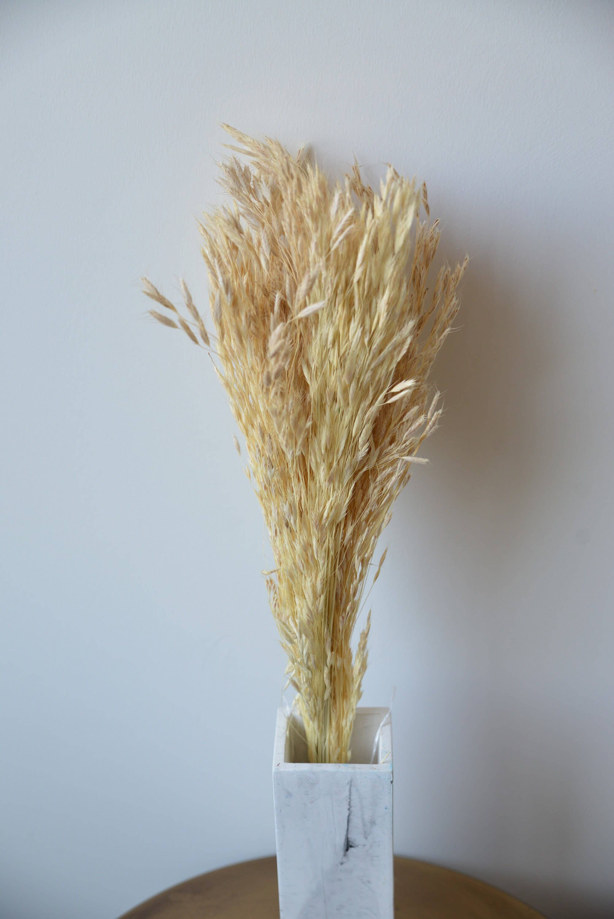 MY BOUQUETS - Wholesale Gedroogde/geperste bloemen - Gedroogd pluim riet, ivoorpluim, gedroogde haverbos, ivoorgras, bloemstuk gras, doe-het-zelf bruiloft, doe-het-zelf bloemstukken, vulbloemen4