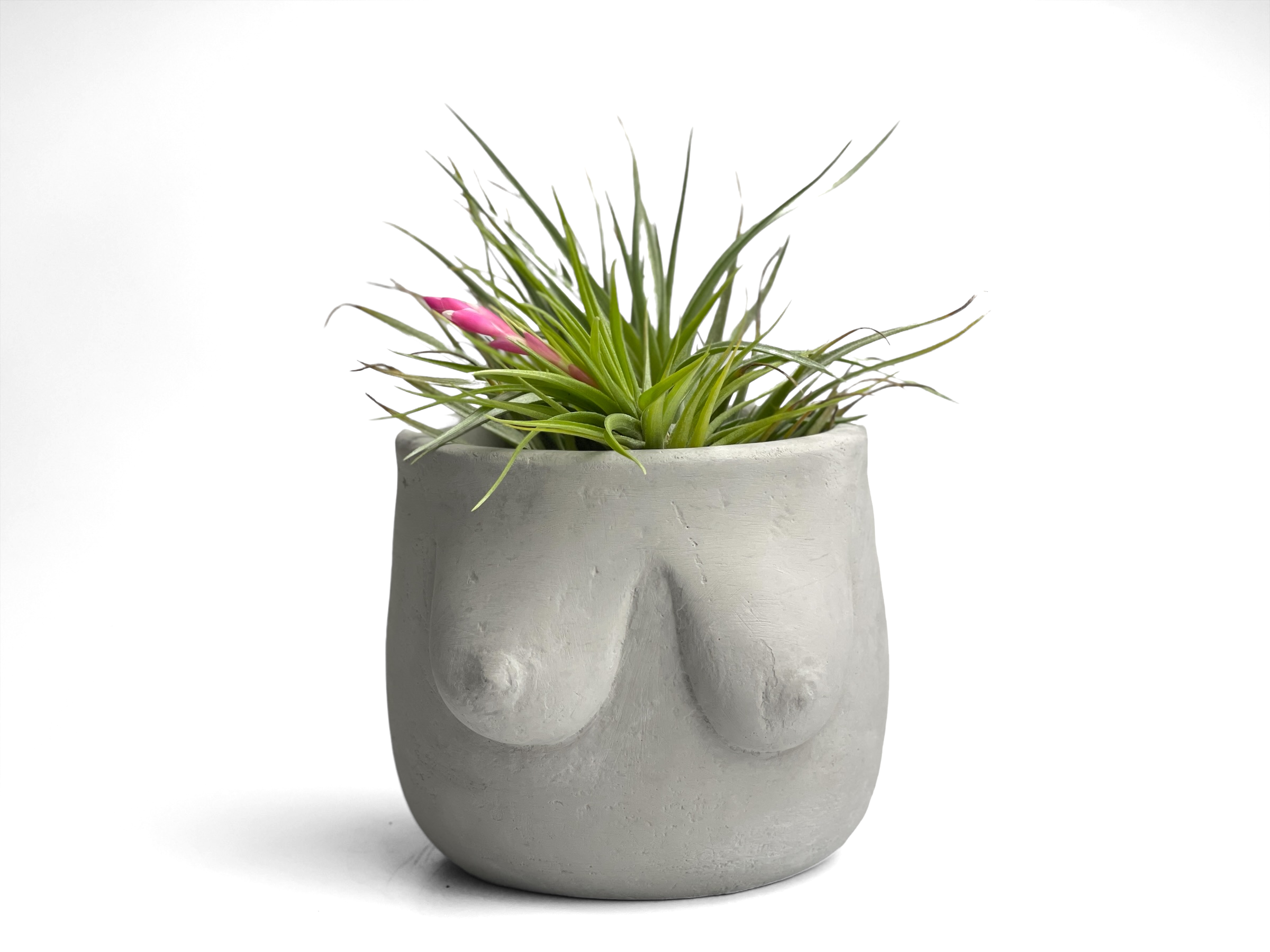Planters Made in the USA - Wholesale Plant Pot - Boobs Planter, Woman Body Pot, Female Torso Decor, Breast6
