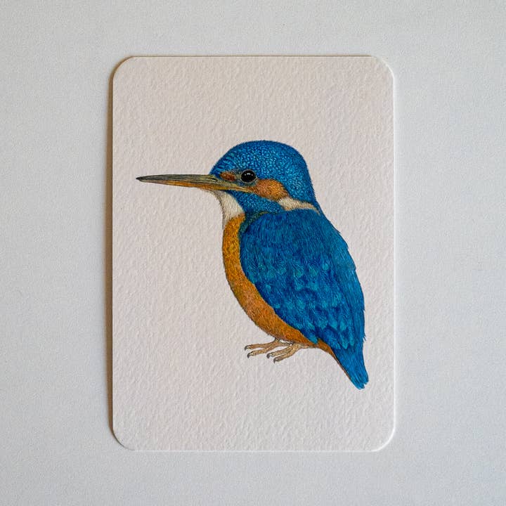 Postkort BLÅ for engroshandel hos Studio Binck