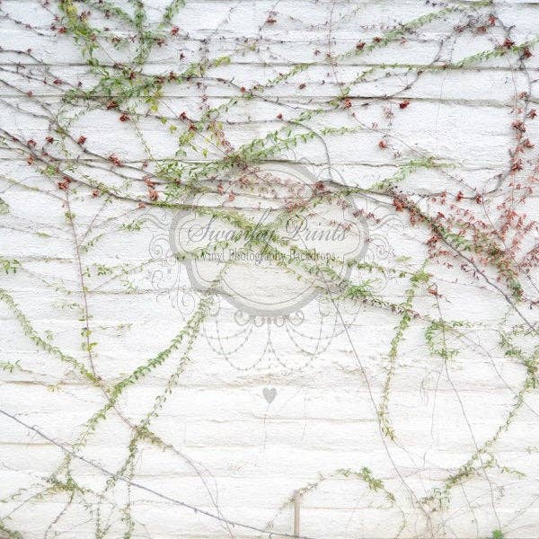 NYTT OBJEKT 4ft x 4ft vinylfotografering bakgrund/vit vinstockar för wholesale av Swanky Prints