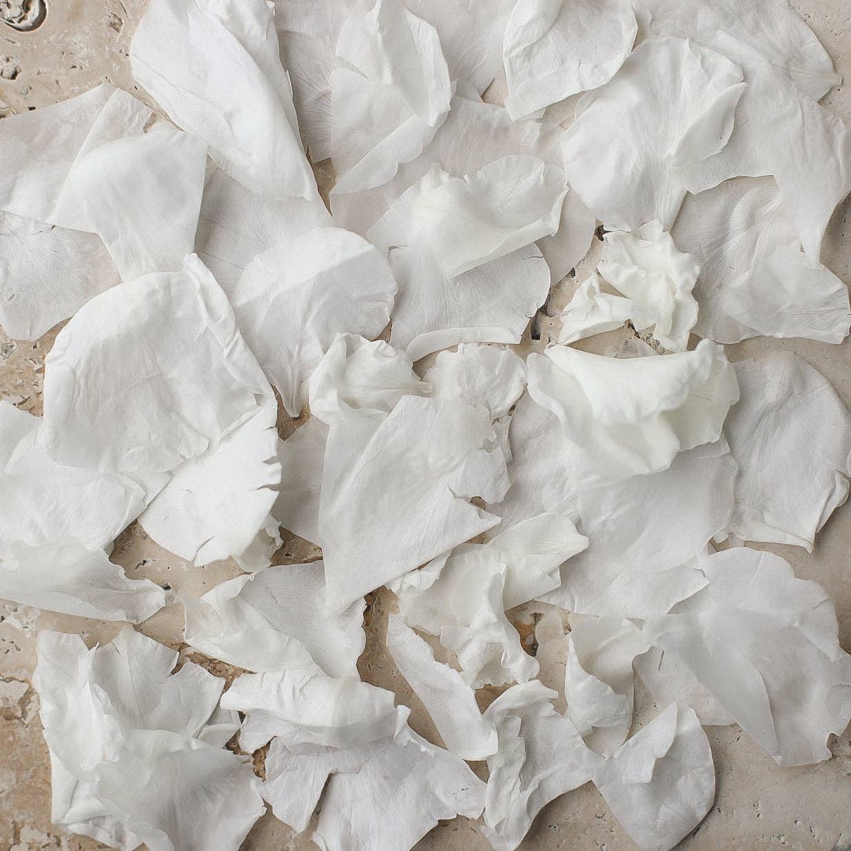 The Whole Bride - Wholesale Confetti - The Ultimate Rose Petal Bundle (petals, cones + trays)2