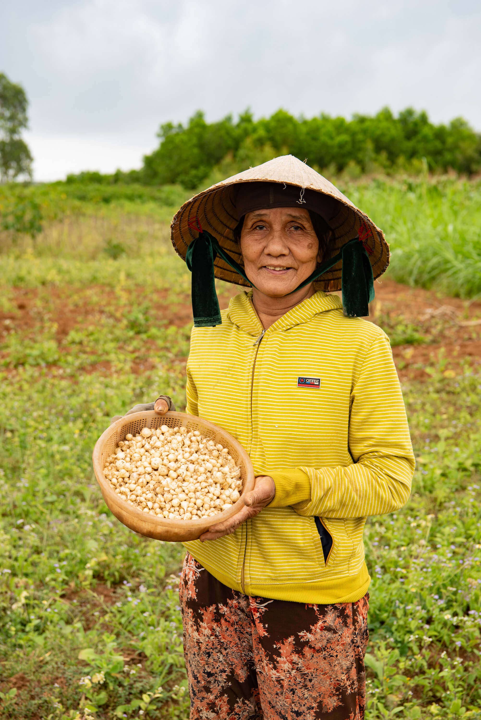 Vân Vân - Wholesale Herbs - Bang Bang Onion Dried Herb - Single-Origin4