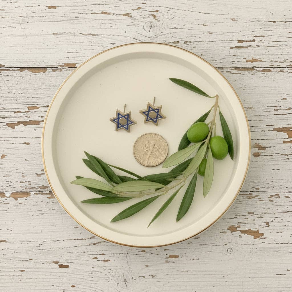 Laurel in Bloom - Wholesale Stud/Post Earrings - Star of David Earrings0