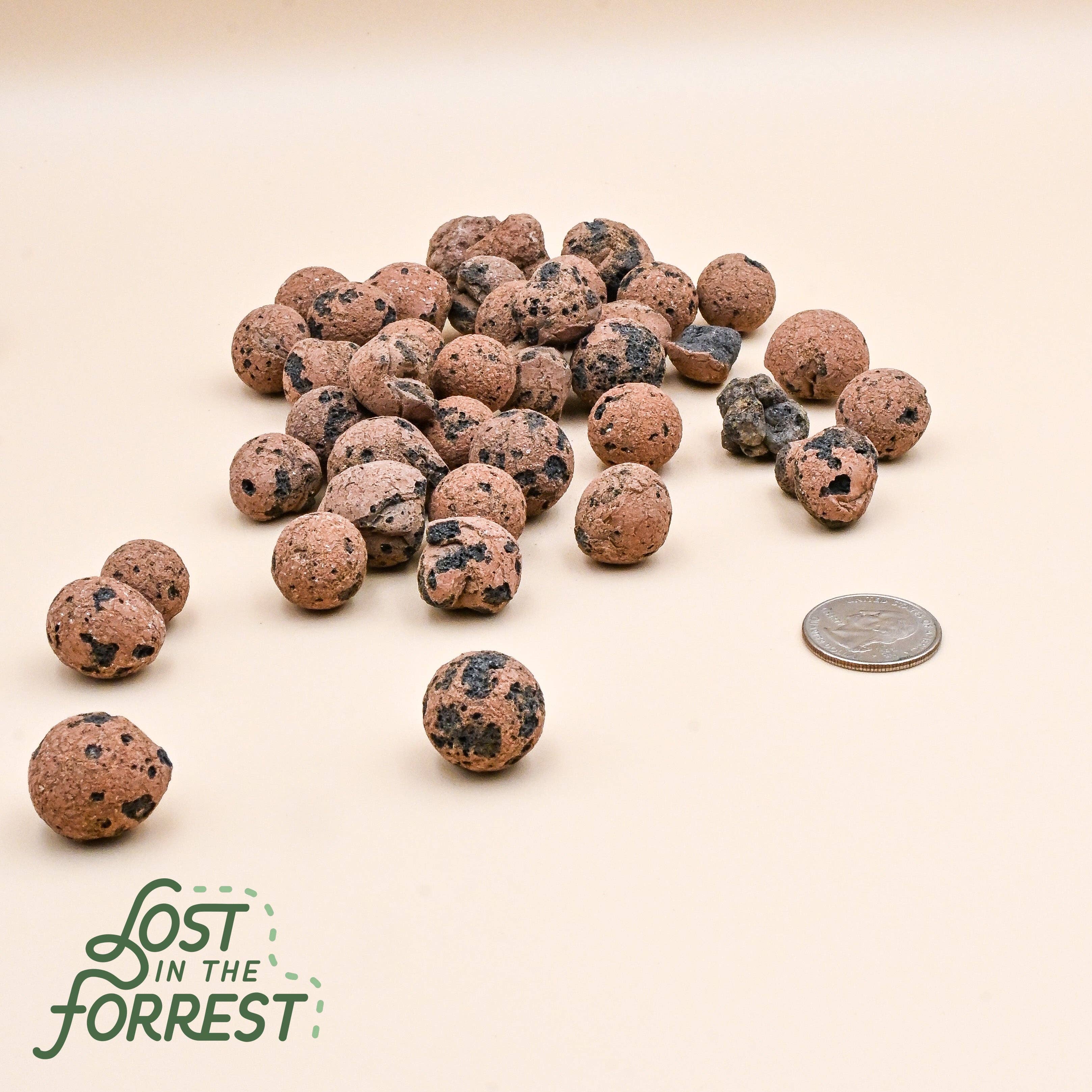 Lost in the Forrest – wholesale Jord för plantering/krukväxter – Leca – lätt expanderad lerkross för odling4