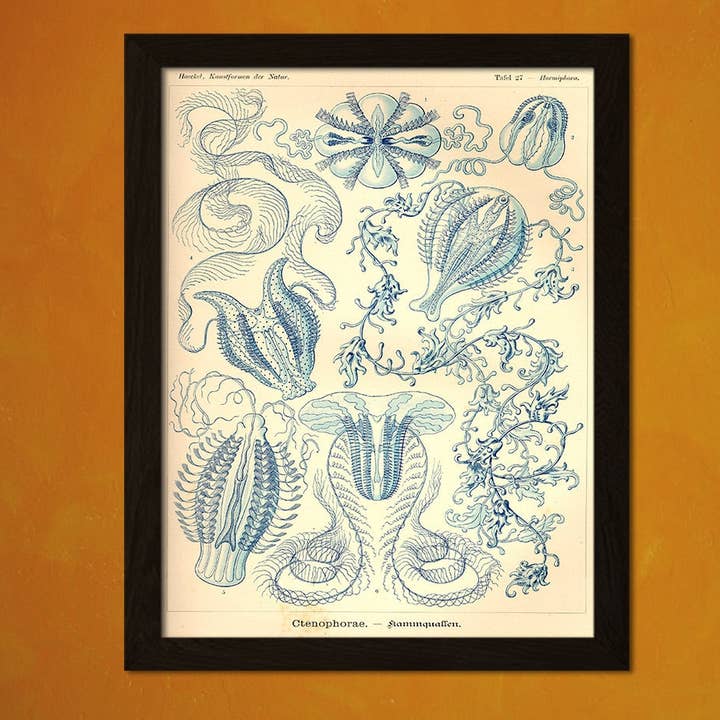 Vintage 1904 Ocean Nautical Marine Marine Beach Art Print for wholesale by Vintage Wall Graphics