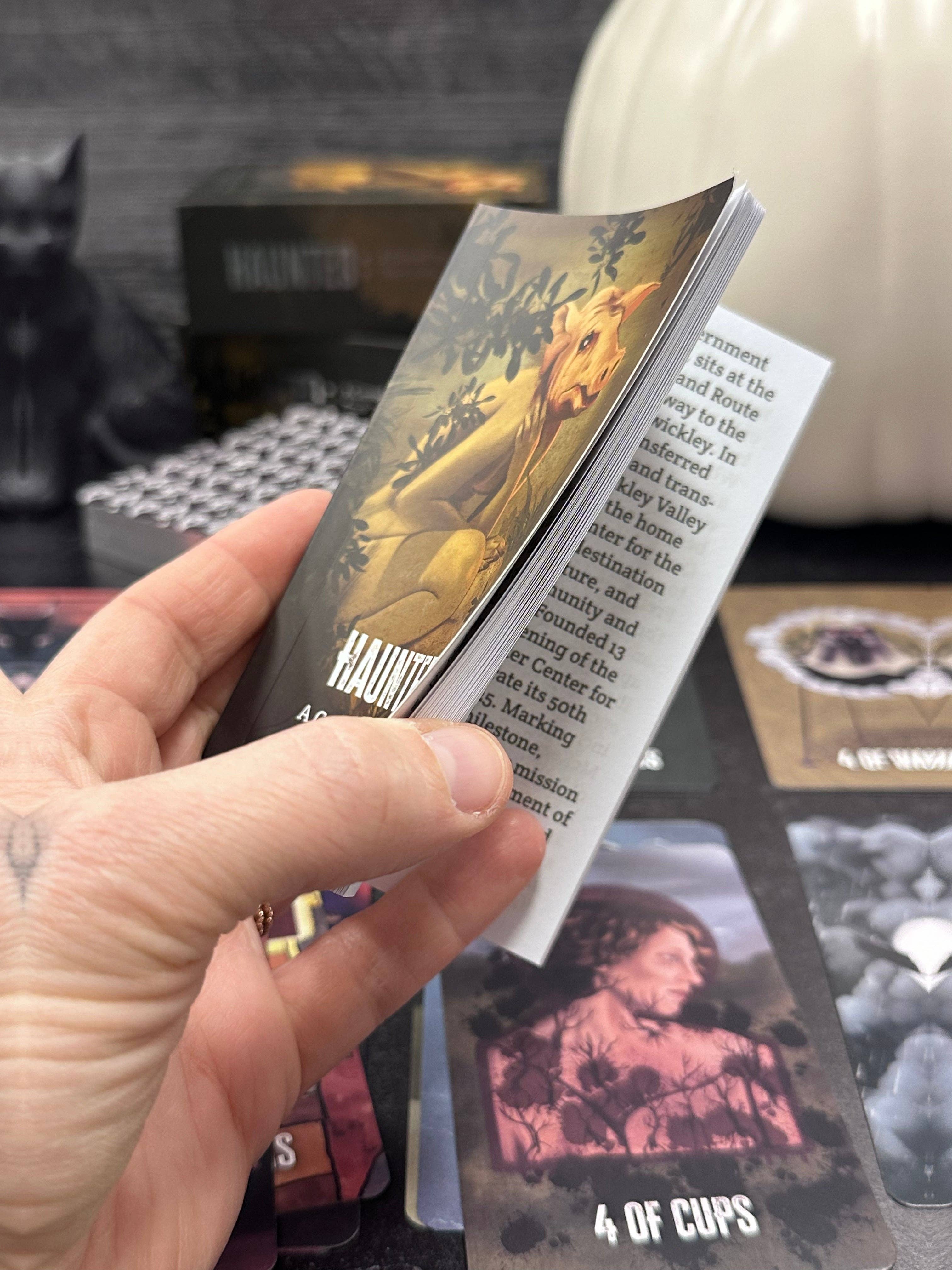 Killerpancake Illustration - Wholesale Tarot/Oracle Card - HAUNTED: A Cursed Appalachian Tarot Deck10