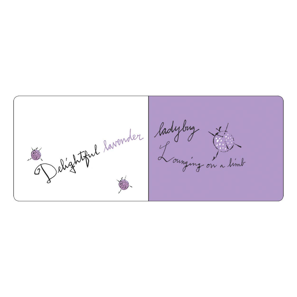 Chronicle Books - Wholesale Baby & Toddler Book (0-2) - Andy Warhol Colors2