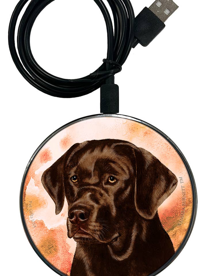 Labrador Retriever Inglês Chocolate - Carregador de Telemóvel Zoomies por atacado de Pet Gifts USA, LLC