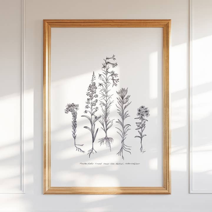 Vanee.ink - Wholesale Art Print - Alpine Wildflowers Print0