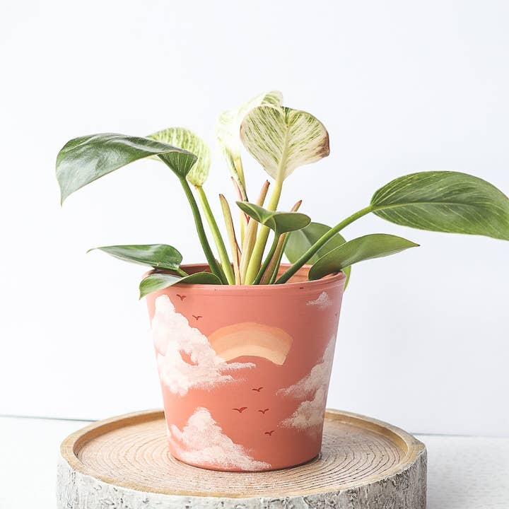 Aloe Painted Pots - Wholesale Plant Pot - Hand Painted Cotton Candy Terracotta Pot