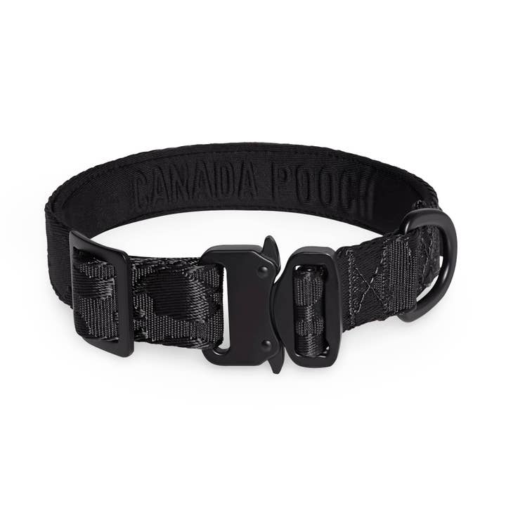 Collier utilitaire pour chien pour la vente par Canada Pooch