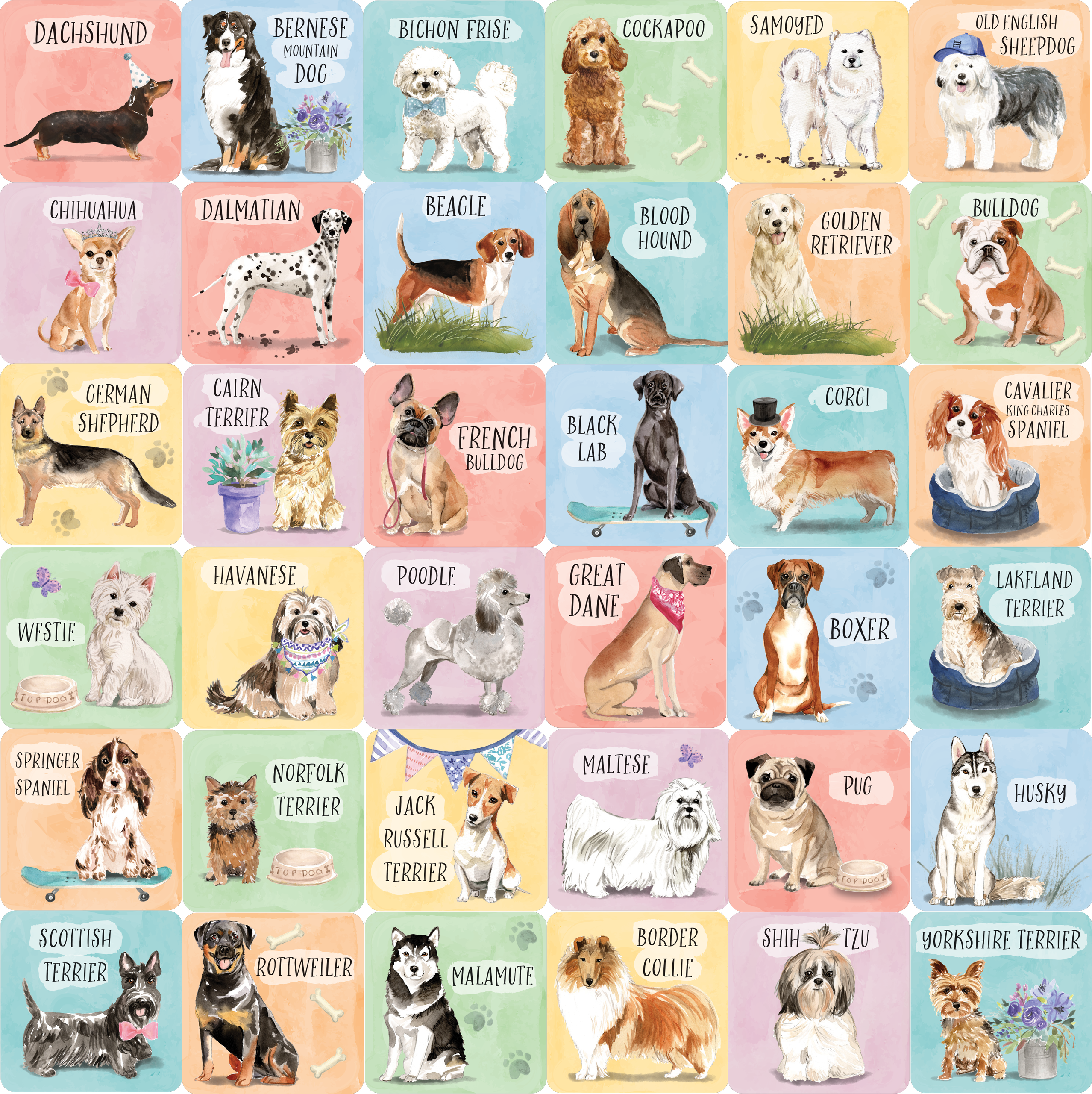 Peter Pauper Press - Wholesale Card Game - Dogs Memory Match Game (Set of 72 cards)1