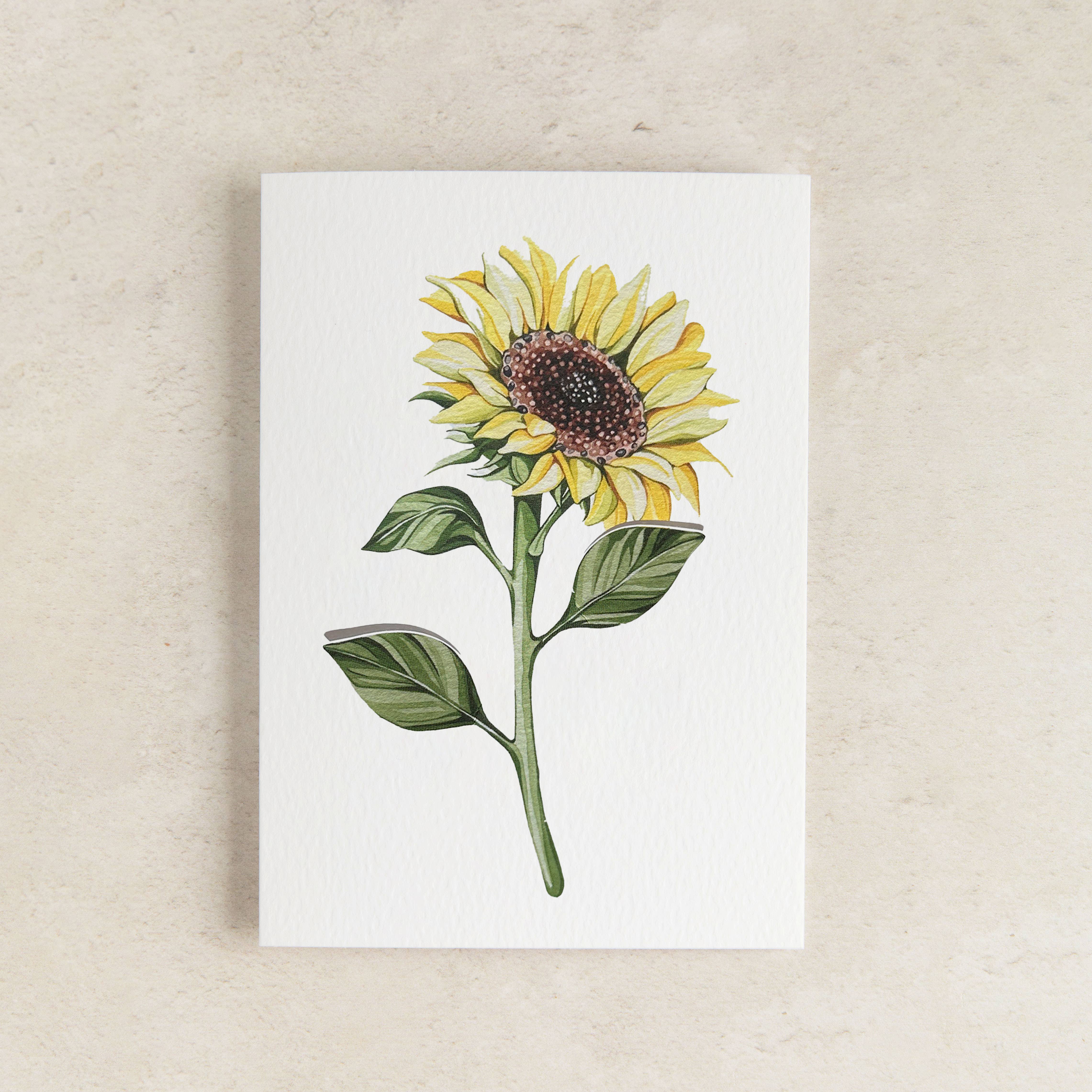 Sophie Brabbins - Wholesale Everyday Greeting Card - Sunflower Pop Out Floral Watercolour Greetings Card2
