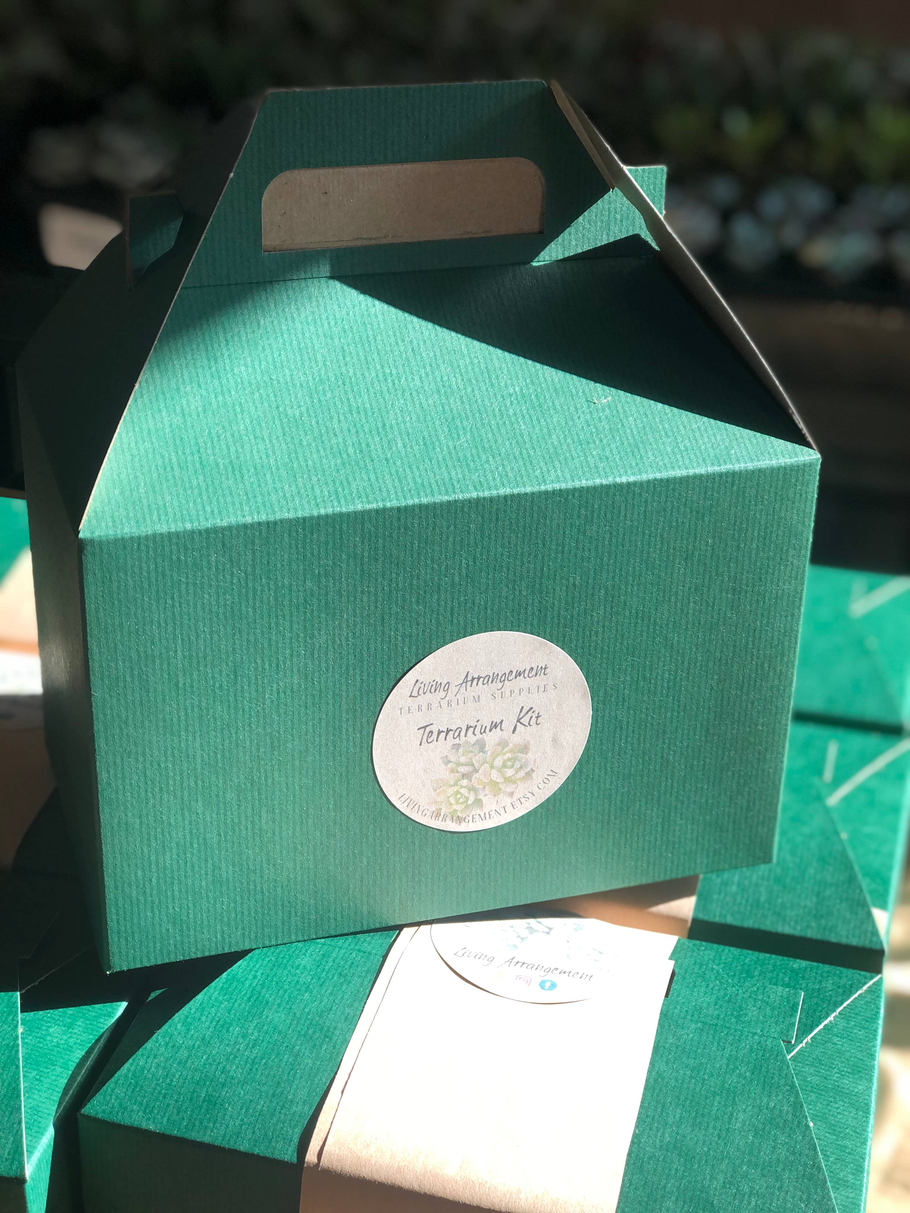 Living Arrangement - Wholesale DIY Craft Kit - Succulent Terrarium Kit Complete DIY6