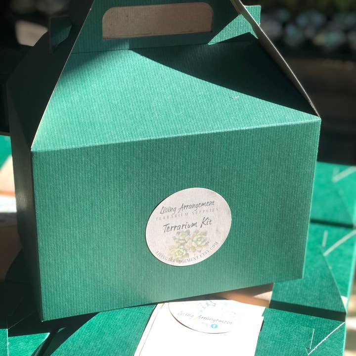 Living Arrangement - Wholesale DIY Craft Kit - Succulent Terrarium Kit Complete DIY6