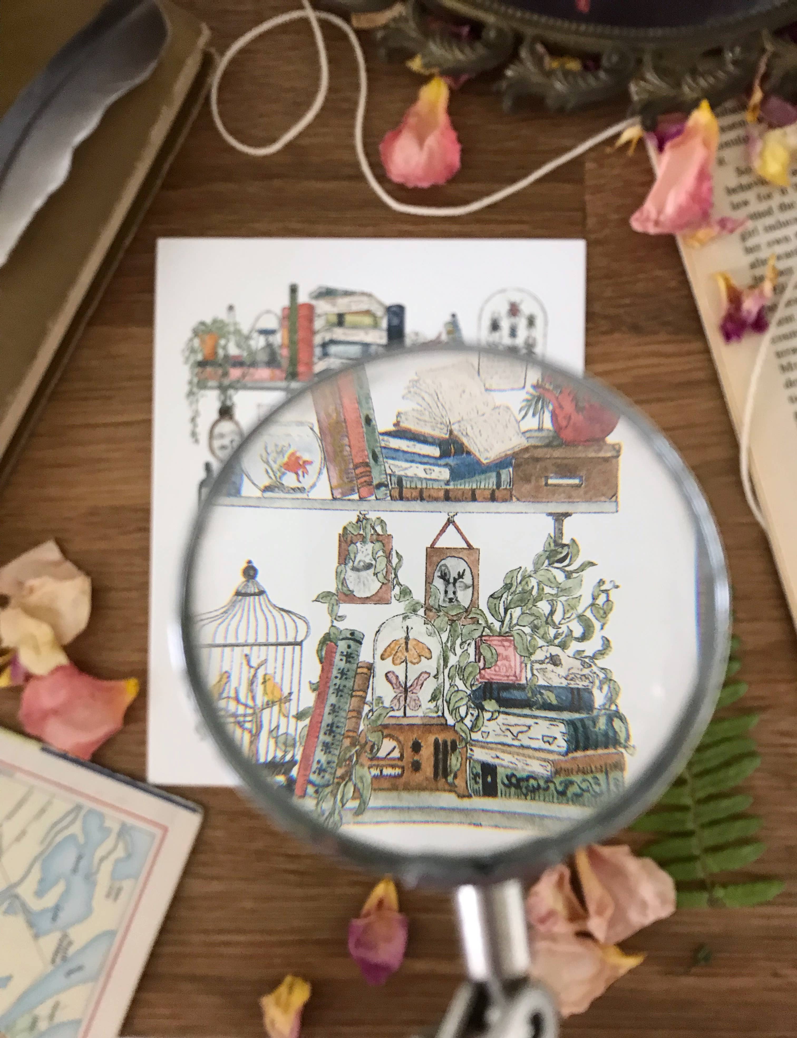 Lizzy Gass - Wholesale Postcard - The Biologist's Shelves Postcard6