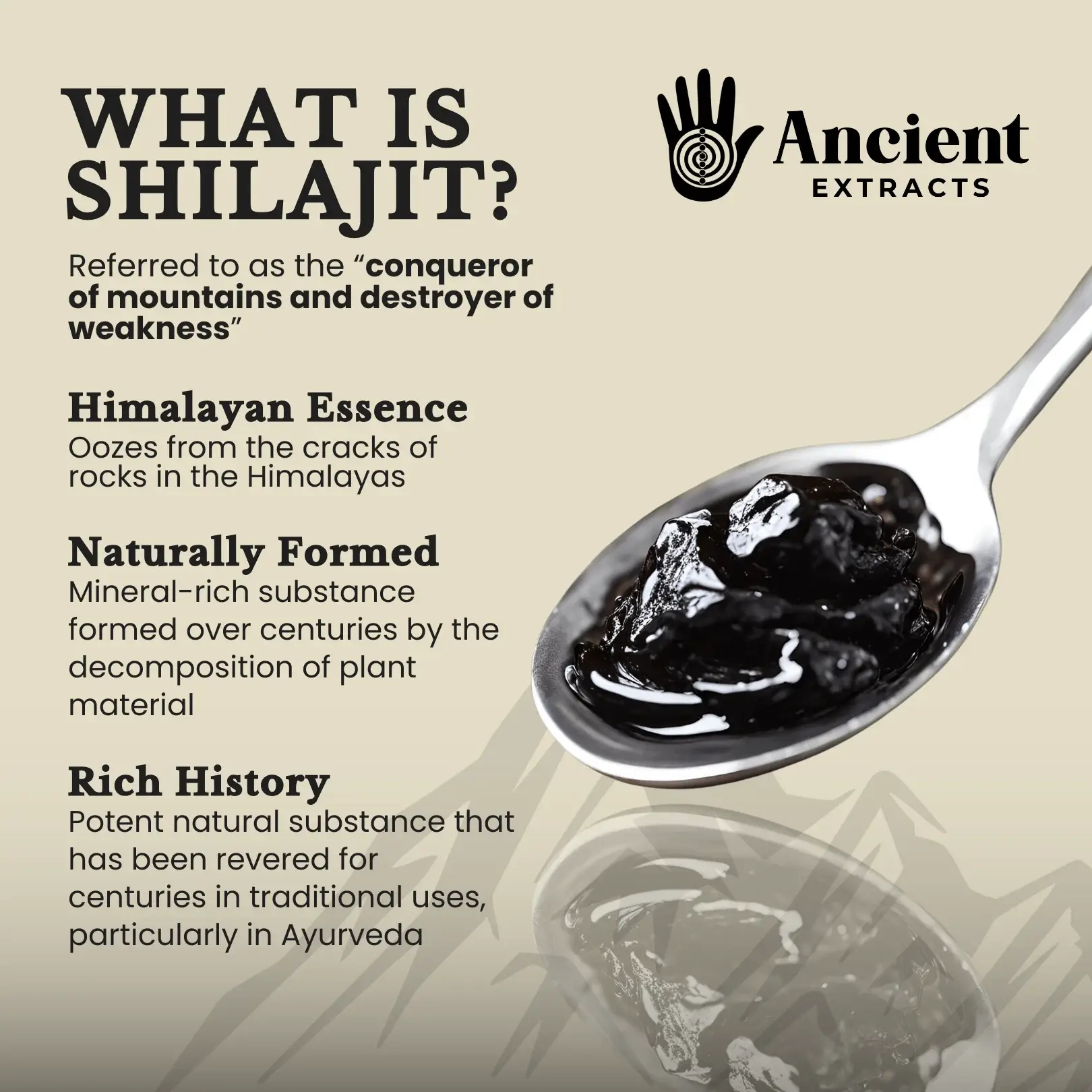 Ancient Extracts Ltd – wholesale Protein/superfood powder – Detox Pair - Raw Shilajit Resin and Reishi Mushroom Extract3