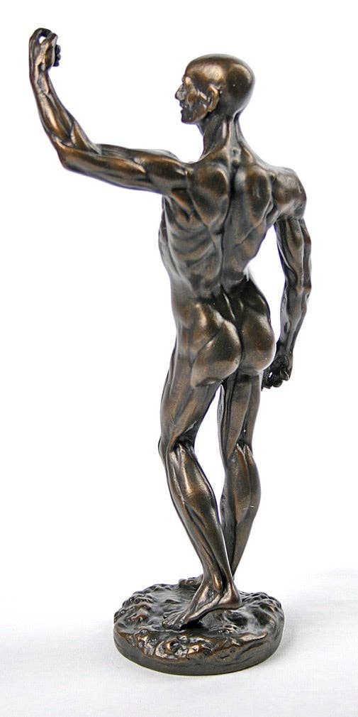 Museum Wholesale Inc - Wholesale Sculpture - Anatomical Study of Flayed Male L'ecorche Collectible Figurine by Houdon2