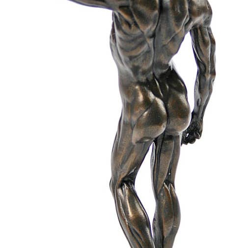 Museum Wholesale Inc - Wholesale Sculpture - Anatomical Study of Flayed Male L'ecorche Collectible Figurine by Houdon2