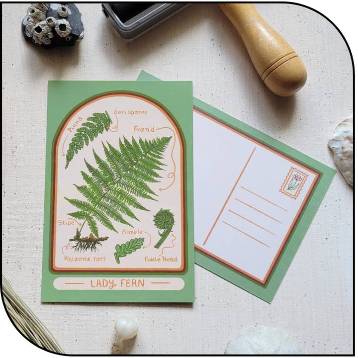 Damenfarn-Postkarte für den Großhandel von The Hollowbird