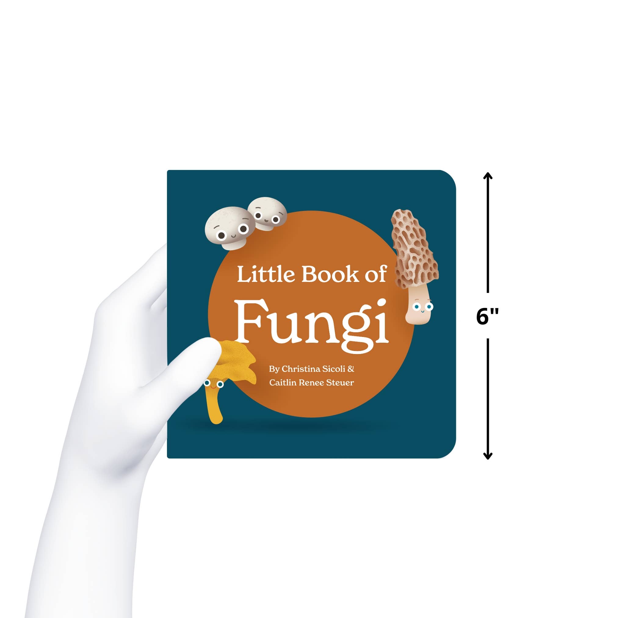 Chunky Deli - Wholesale Baby & Toddler Book (0-2) - Little Book of Fungi7