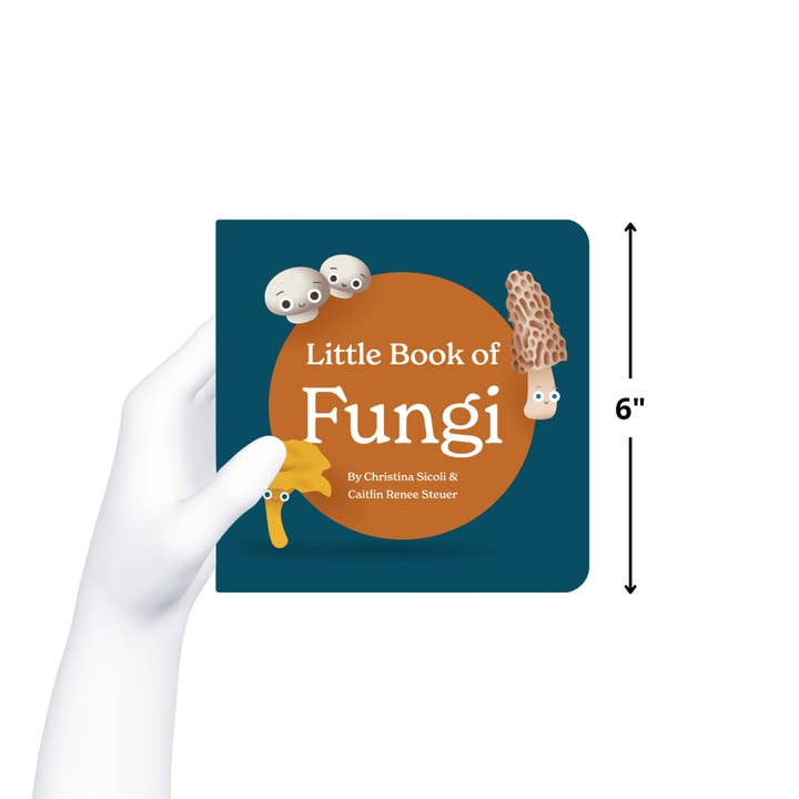 Chunky Deli - Wholesale Baby & Toddler Book (0-2) - Little Book of Fungi7