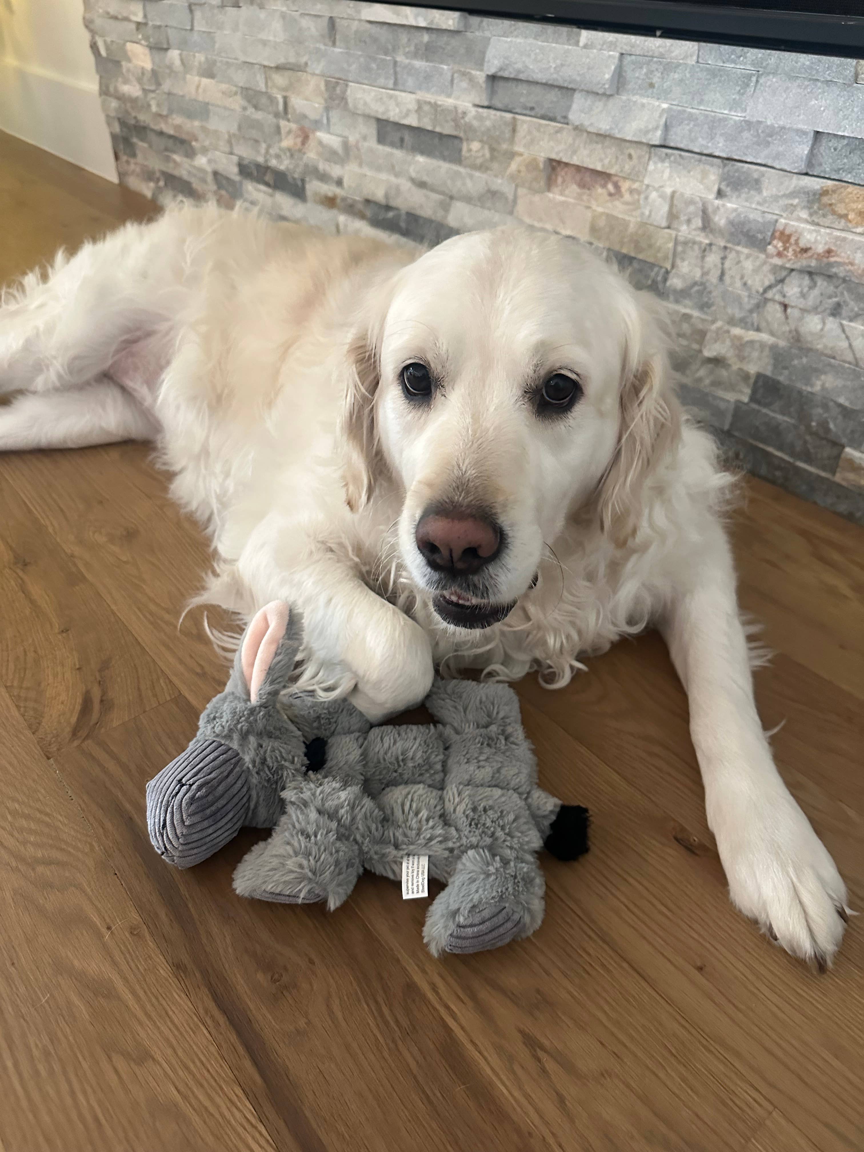 STEELDOG USA LLC – wholesale Pet plush toy – Dog – Barnyard Buddy Donkey1