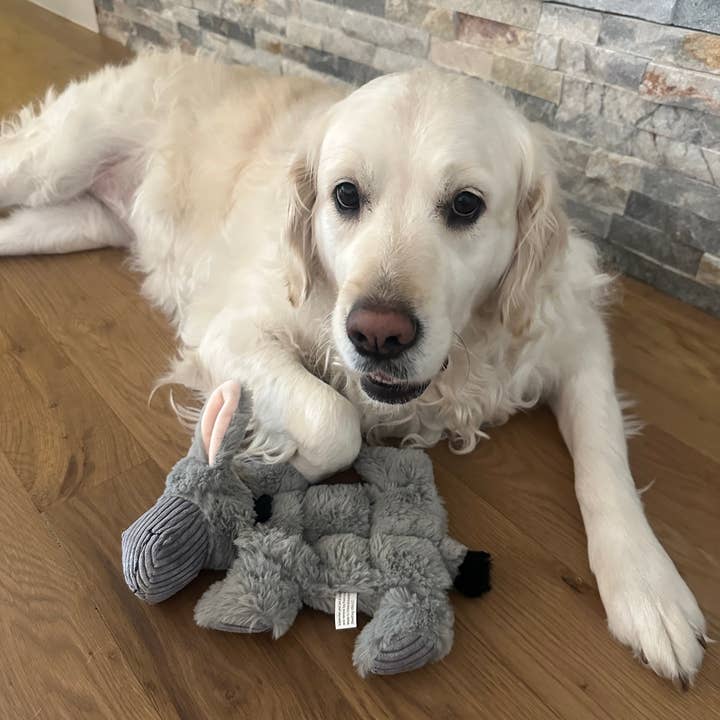 STEELDOG USA LLC – wholesale Pet plush toy – Dog – Barnyard Buddy Donkey1