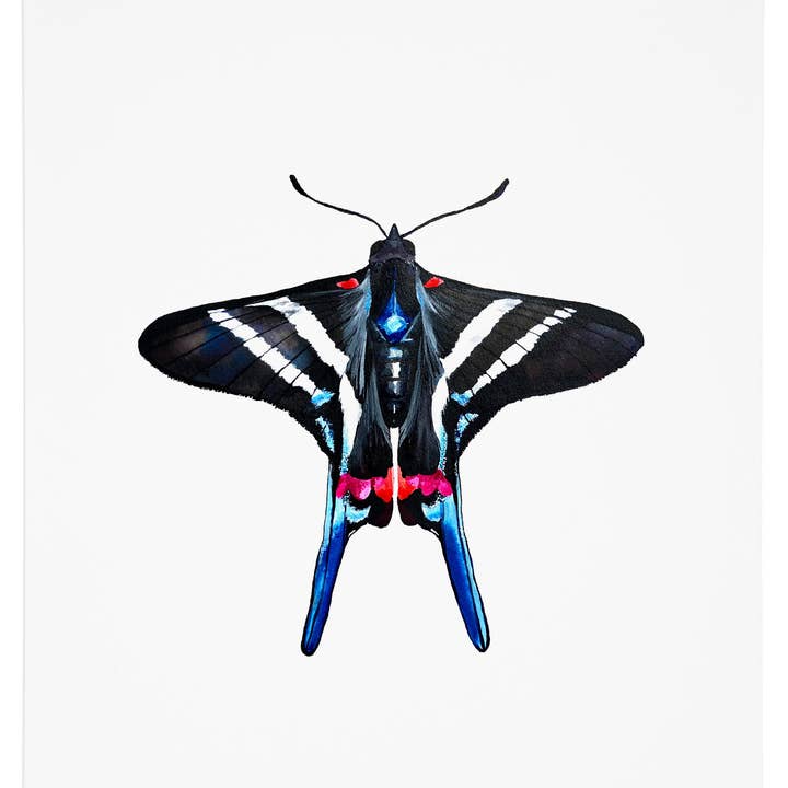 Papillon 2 Art Print pour la vente par J6R6