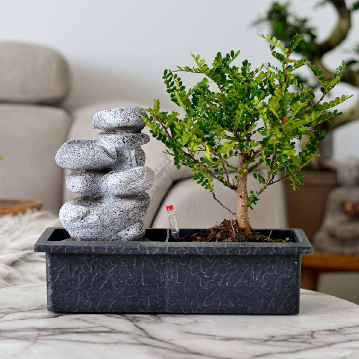 Oasis of Life - Wholesale Live Plant - Bonsai - Set of 2 Chinese bonsai trees - approx. 5 years old - with Easy Care System & water level indicator - Decorative Zen arrangement with stones & mini waterfall - Easy to care for & durable - Height 25–35cm - Ø29cm7
