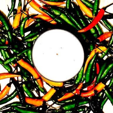 h o t • m o o n for wholesale by HECATE