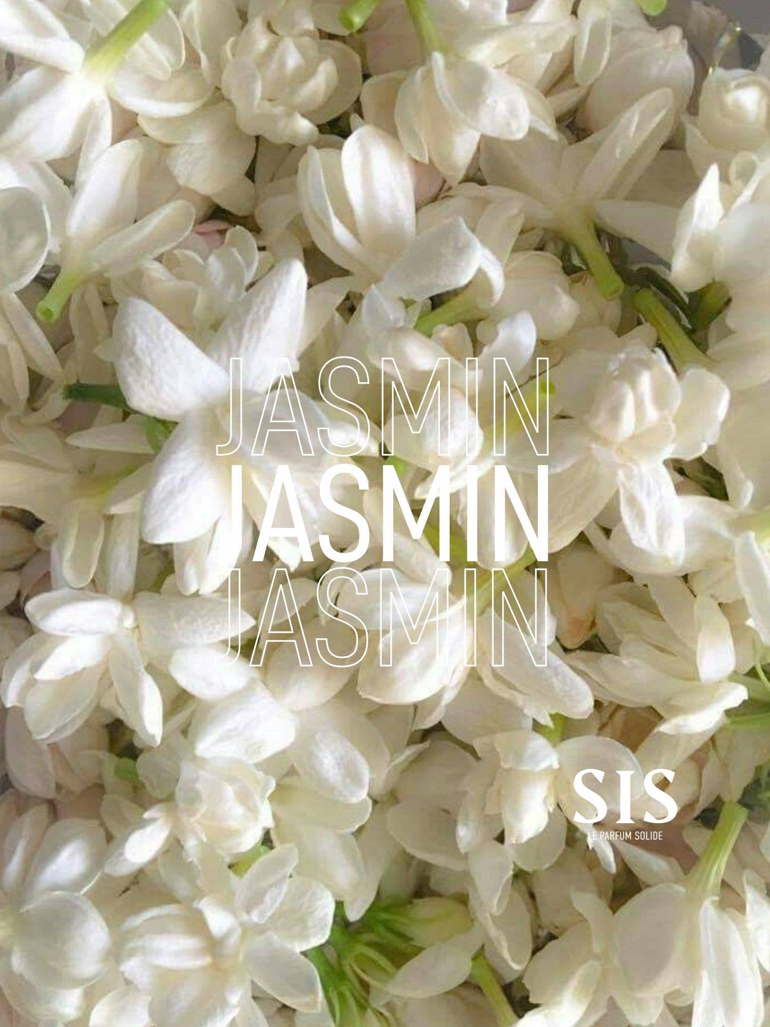 SIS Fragrances - Wholesale Solid Perfume - Solid Perfume, No.1 The Origin alcohol-free4