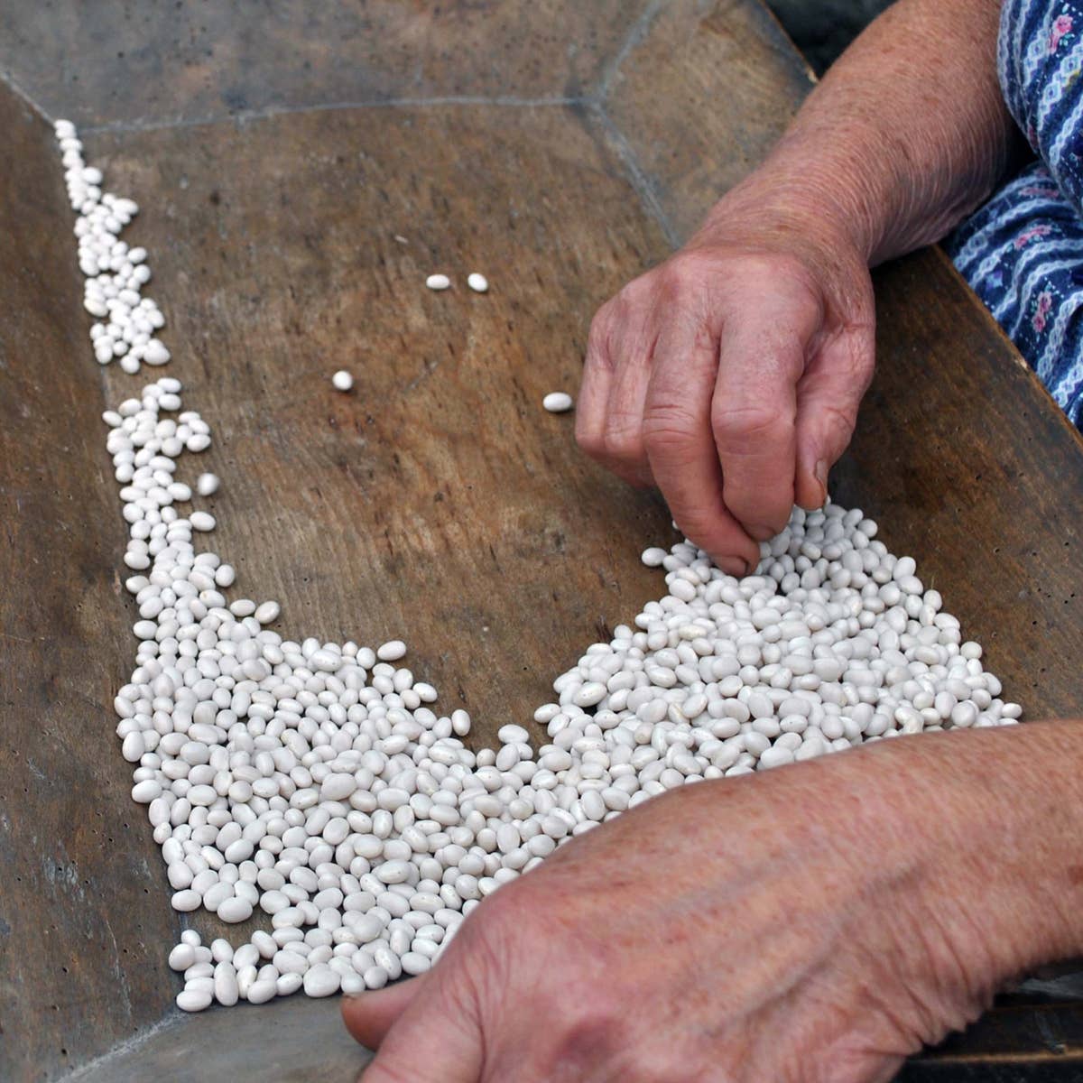 A.G.R. s.r.l. – Engroshandel Bønner – Cannellini-bønner 400 g7