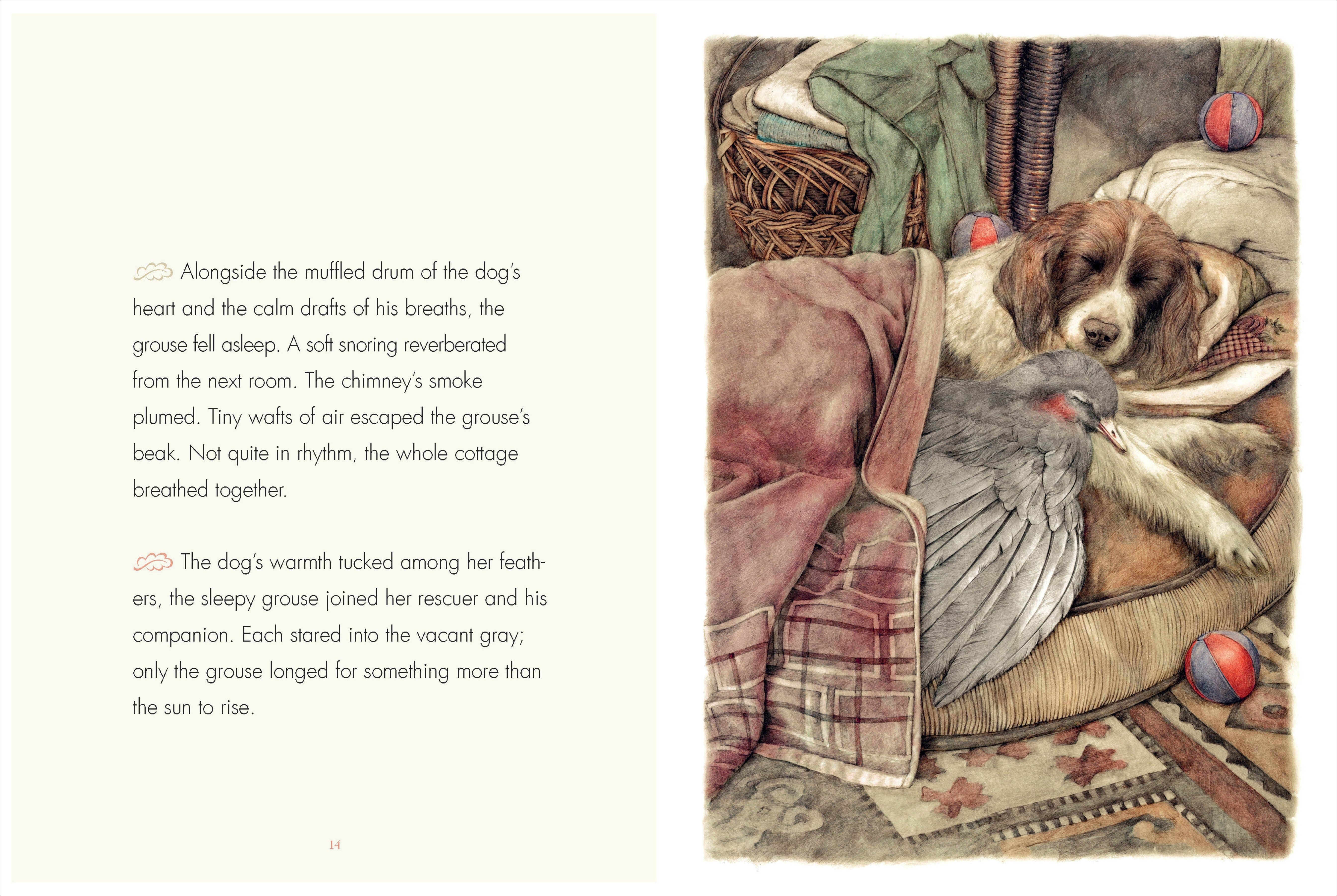 The Creative Company – wholesale Pre-school book (3–5) – Forever Flowers, The2