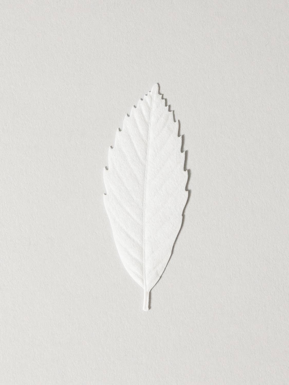 Morihata International Ltd. Co. – Incenso por atacado – Incenso em Papel HA KO - Cedro1