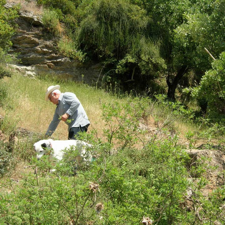 Curio Spice Co - Vente Sel - Sel de la mer Égée3