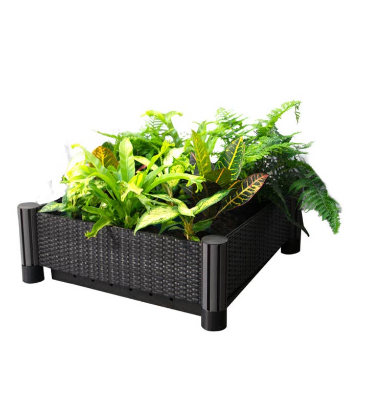 Cama individual para patio y jardín Watex para venta al por mayor de Watex