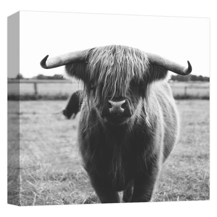 Buffalo Sight 22'' x 22'' Canvas Wall Art for wholesale by PTM Images