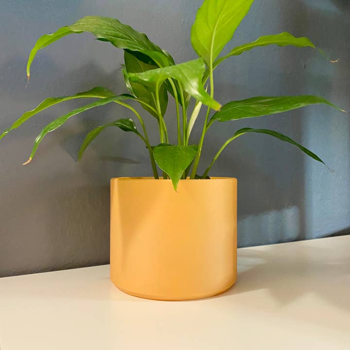 Plant Voyage - Wholesale Plant Pot - 3D Printed 4in. Planter Pot - Indoor Planter Pot
