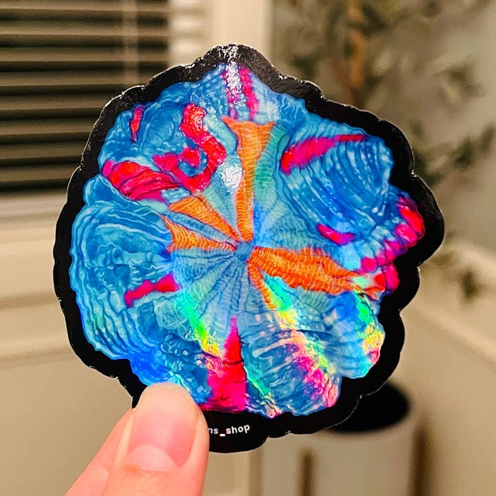 Adesivo Ultra Rainbow Acantho Coral | Barriera corallina, acquario per la vendita all'ingrosso da parte di Reef of Clowns