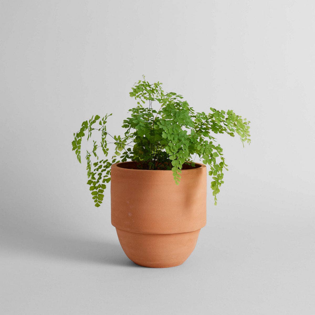 Bloomist – wholesale Plant pot – Big Cuff Planter5