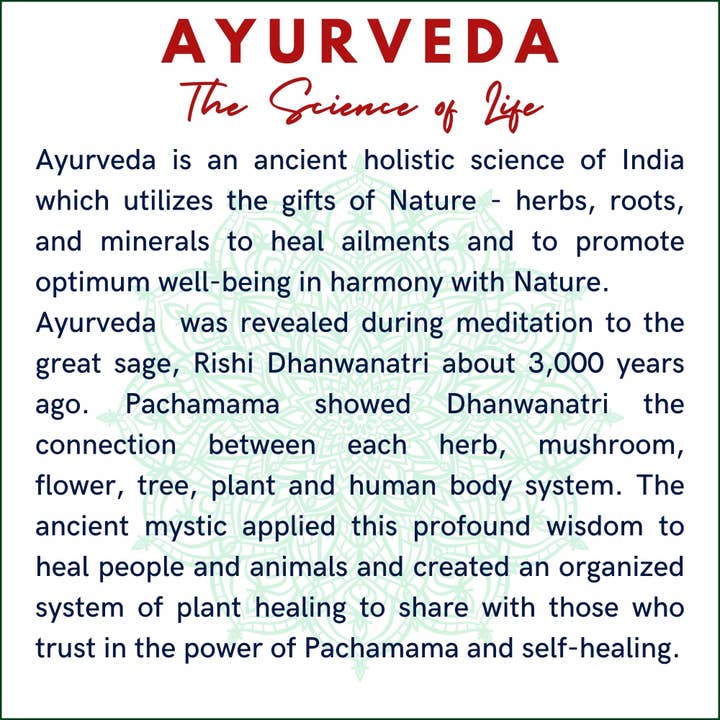 The Sacred Essence - Wholesale Hair serum - MANA Ayurveda Hair Restoration Serum - Hair Superpower7