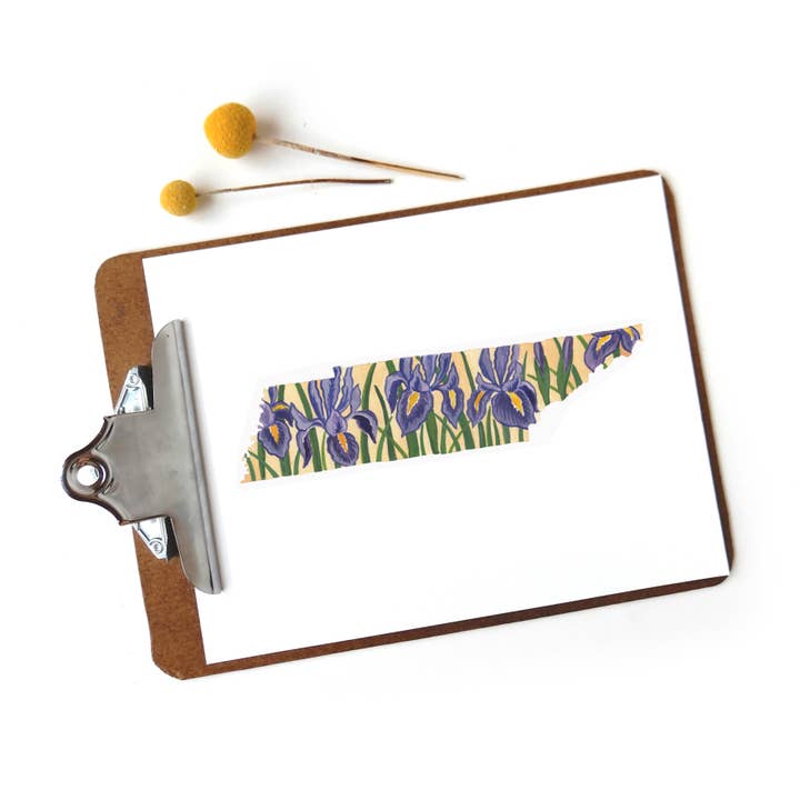 Tennessee State Flower Print Iris for wholesale by Sketchy Notions