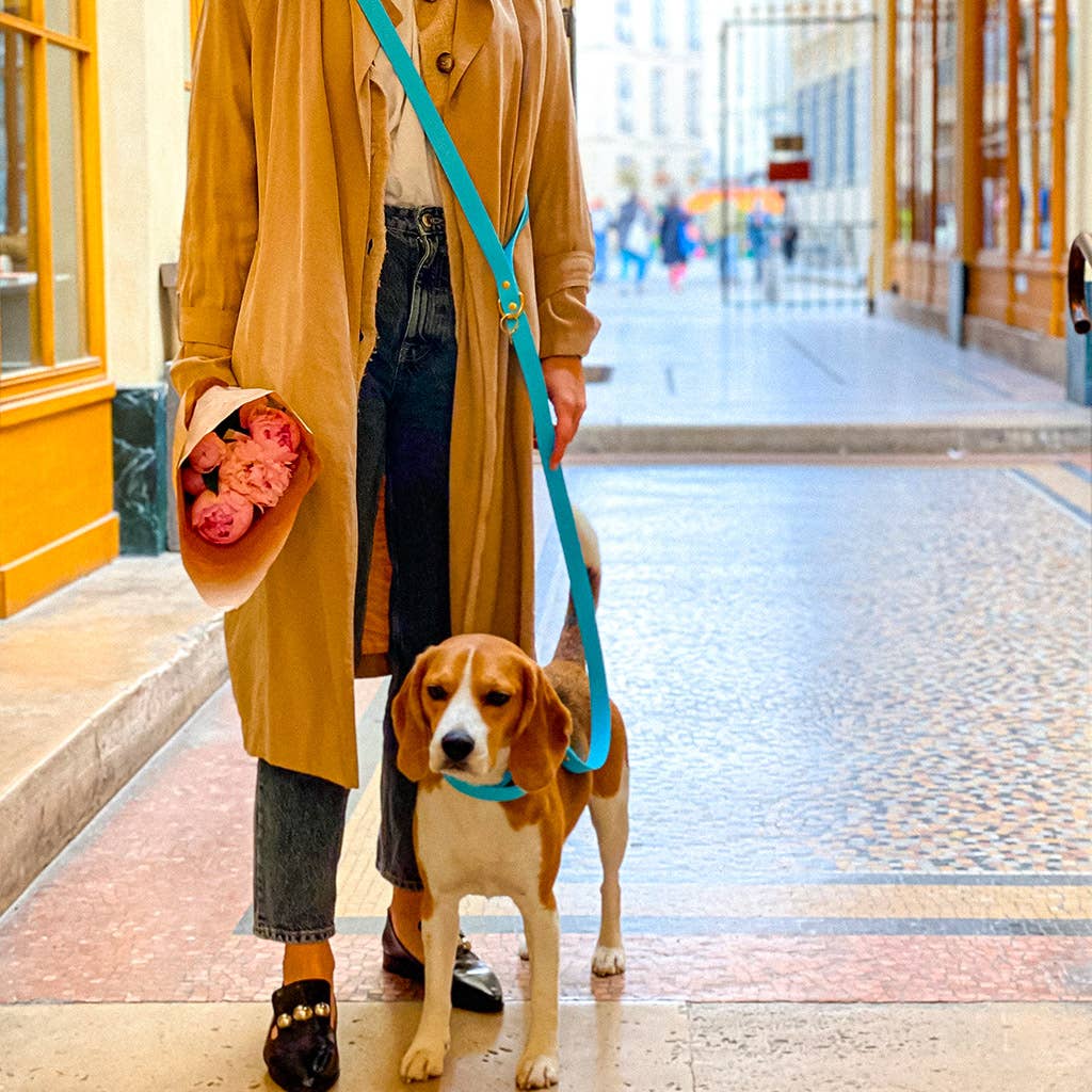 Pop Dog – Großhandel Haustierhalsband – Hund – Die DRAGEUR 💎 Halskette2