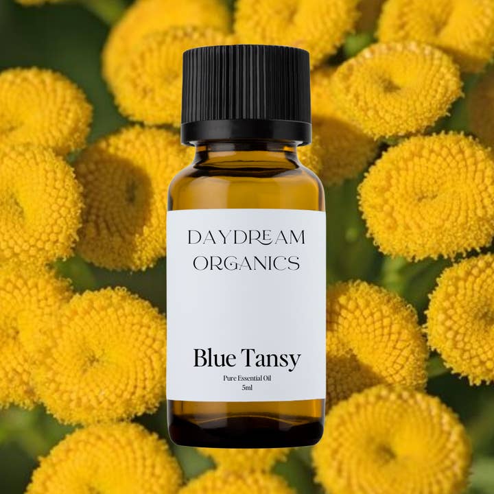Huile essentielle de tanaisie bleue pour la vente par Daydream Organics | Prairie Doctor Brand