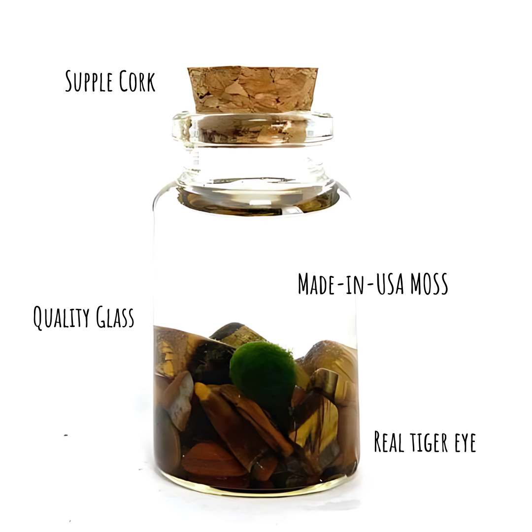 Moss Amigos | Moss Ball Terrariums - Wholesale Live Plant - Tiny Marimo Moss Ball Terrarium with Tiger Eye Gemstones3